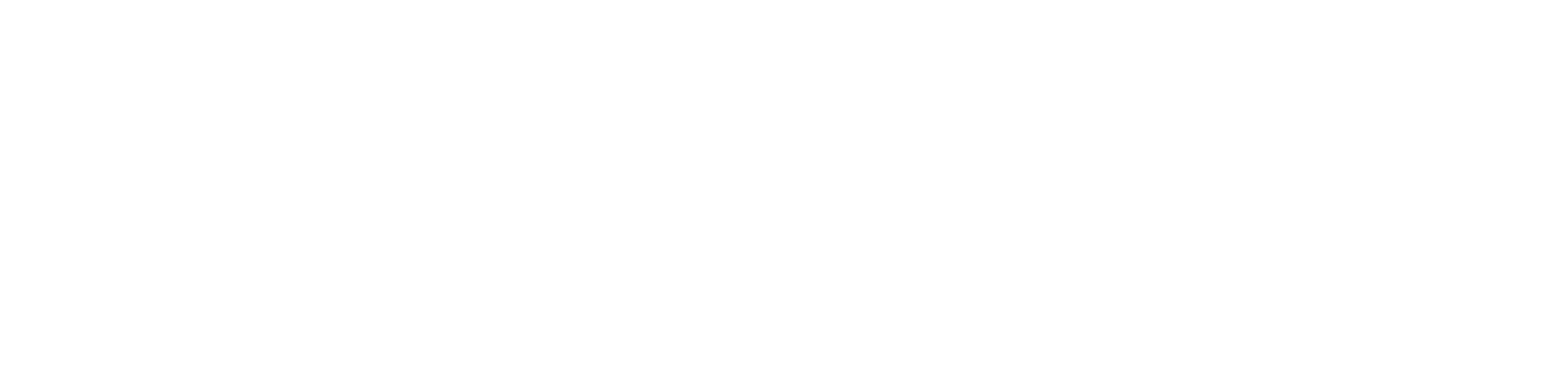 Netchex White Logo