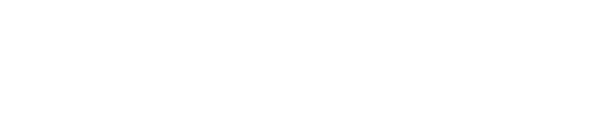 netchex and expense path logo.png